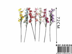Flor de ciruelo