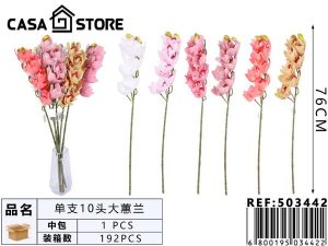 orquídeas cymbidium